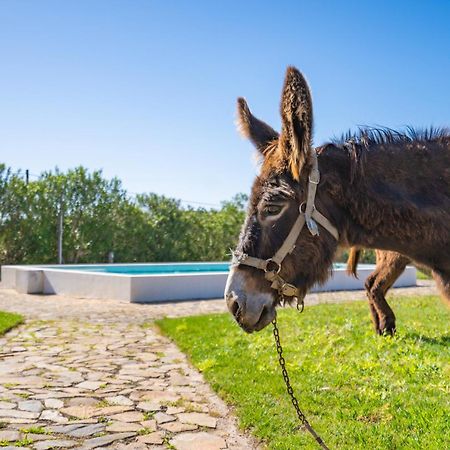 Burro Ville By Host Wise ポルティマン エクステリア 写真